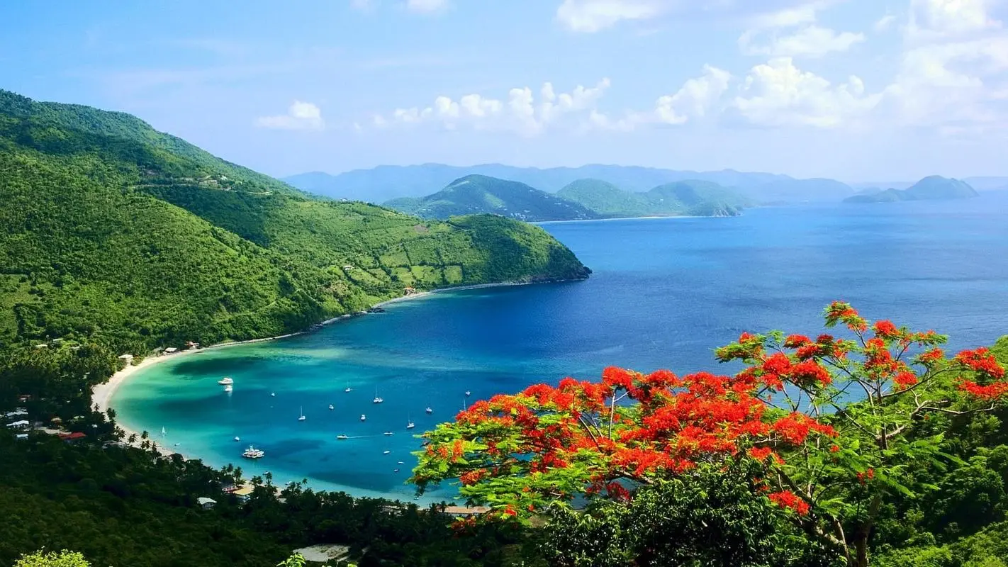 智能高效